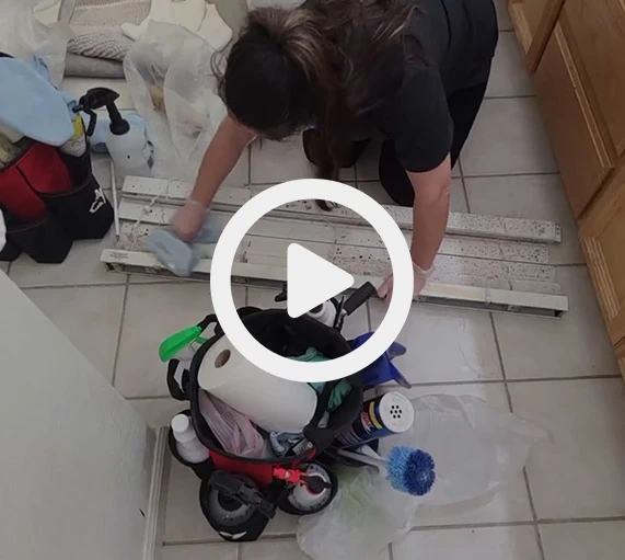 video1